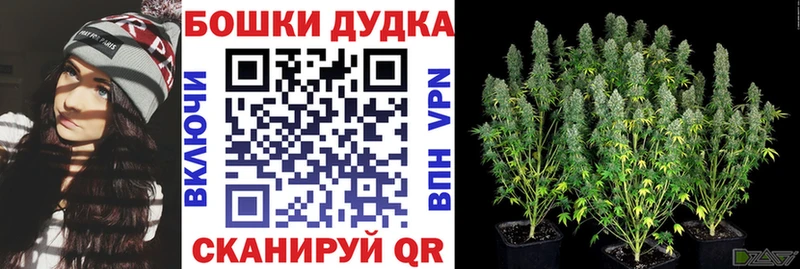 Виды наркоты Наро-Фоминск ГЕРОИН  МАРИХУАНА  МЕФ  ГАШ  СОЛЬ 