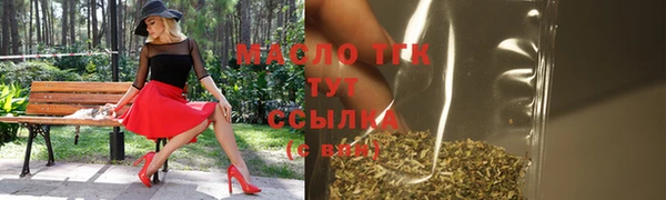 spice Богородицк