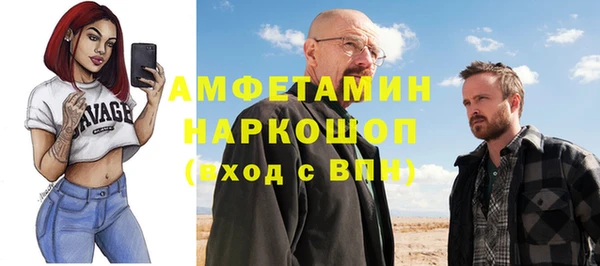 spice Богородицк