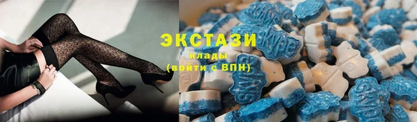 spice Богородицк