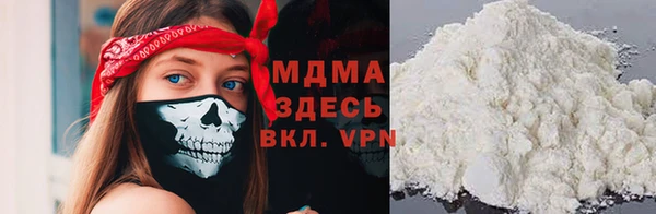 spice Богородицк