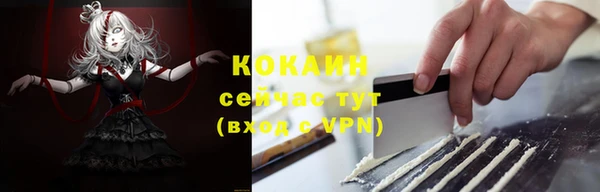 spice Богородицк