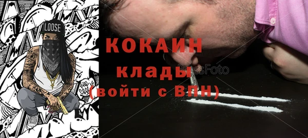spice Богородицк