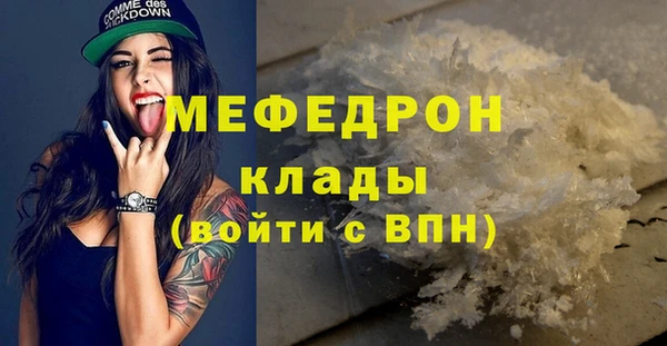 spice Богородицк