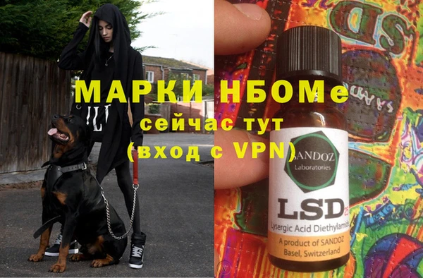spice Богородицк