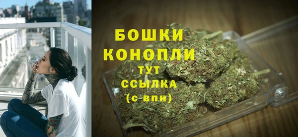 spice Богородицк