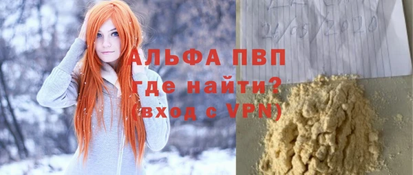 spice Богородицк