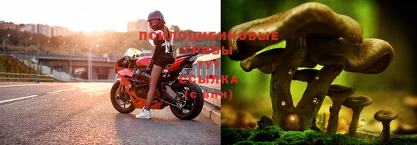 spice Богородицк