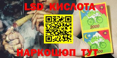 индика Ирбит
