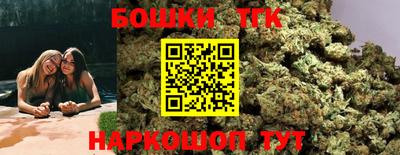 индика Ирбит