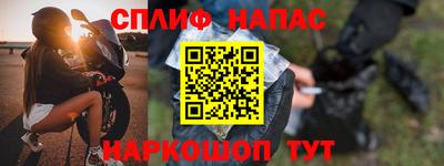 индика Ирбит
