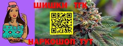 индика Ирбит