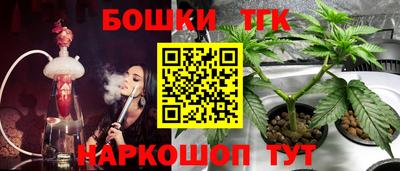 индика Ирбит