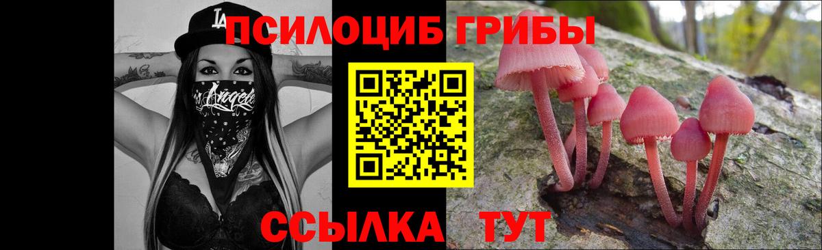 Псилоцибиновые грибы Cubensis Наро-Фоминск